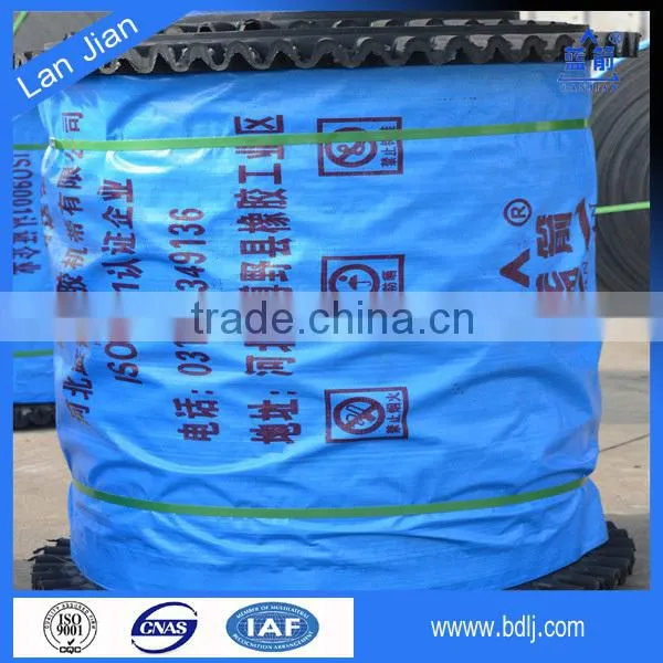 China Manufacturer High Quality Sidewall Rubber Conveyor Belt Vulcanizing Equipment photo-5