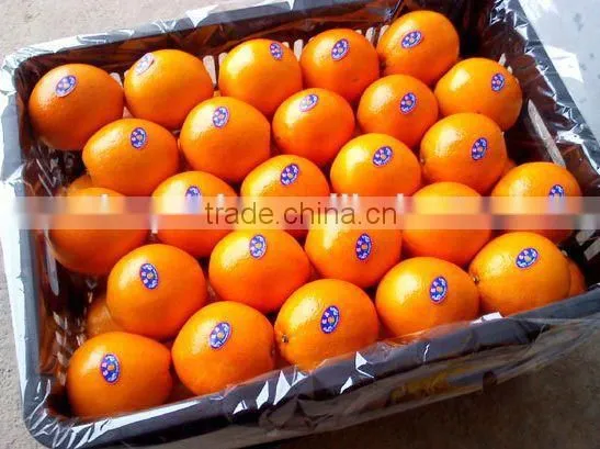 Fresh Gannan Navel Orange, Best Quality China Navel Orange photo-2