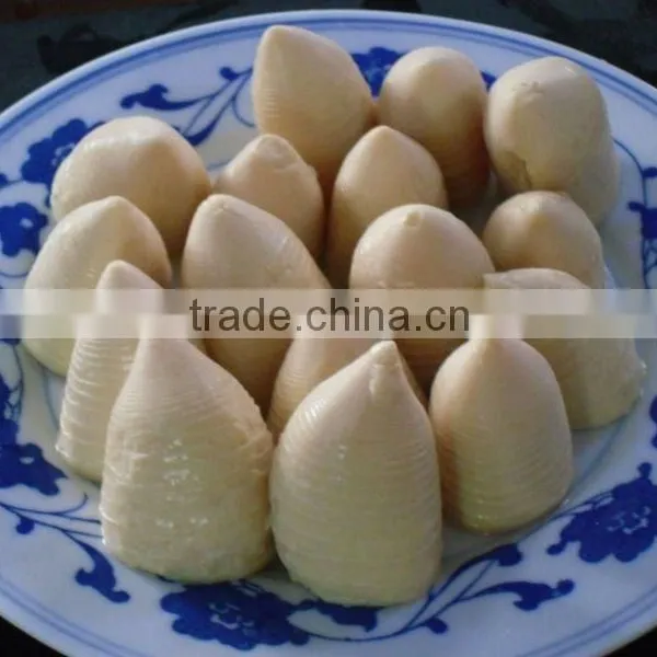 567g Canned Whole Bamboo Shoot Product in Brine in Tin
