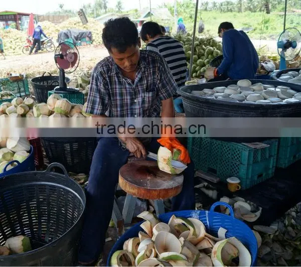 FRESH COCONUT
