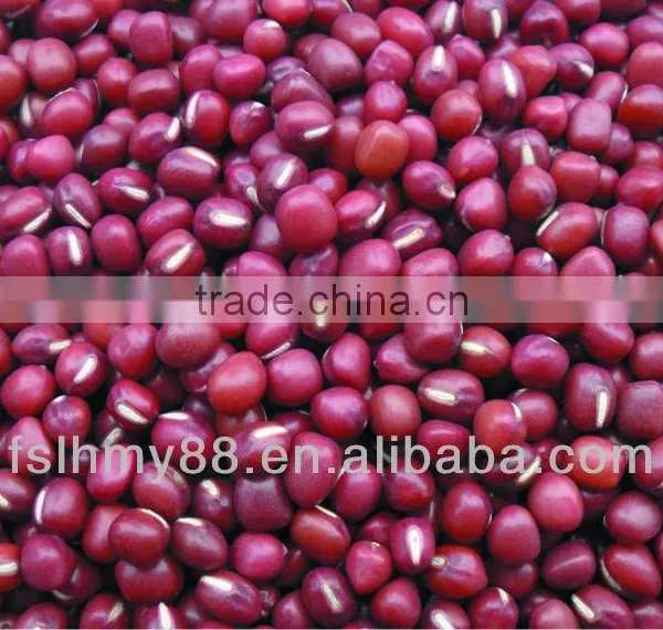 Selected Big Red Bean 4.8-6.0mm