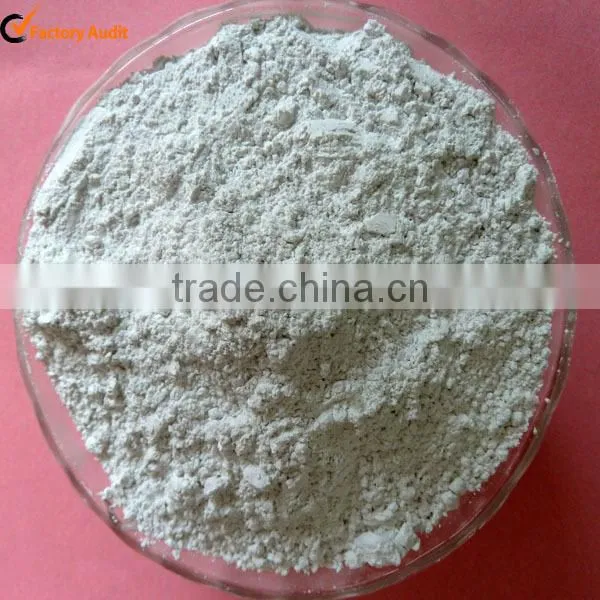 Micron Grade Diatomite Powder photo-2