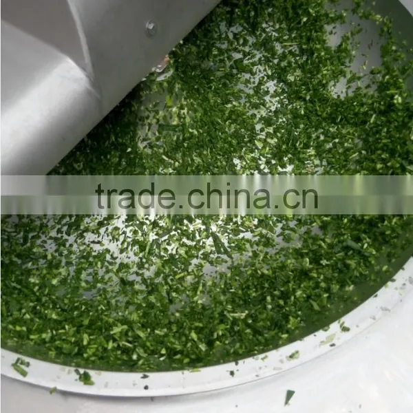 Hot Sale Vegetable Grinding Machine/ Vegetable Grinder/vegetable Grinding Equipment photo-3
