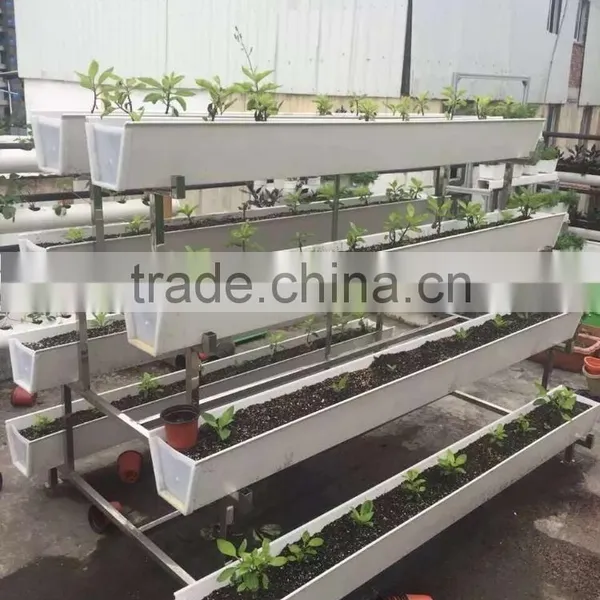 Hydroponic Vertical System for Lettuce photo-4