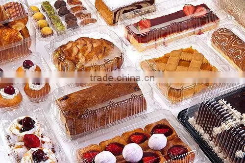 Disposable Blister Plastic Takeaway Takeout Hot Food Delivery Containers photo-4