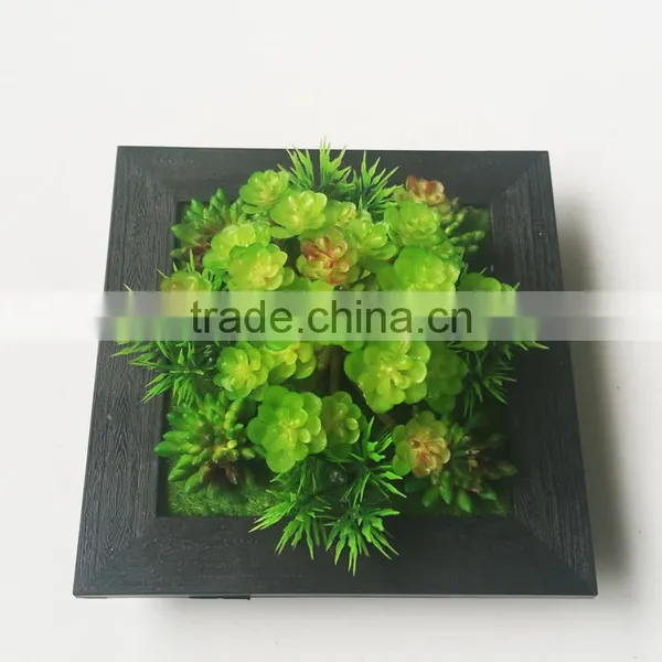 Wholesale Ornamental Plants Small Plastic Succulent Plant Bonsai photo-5