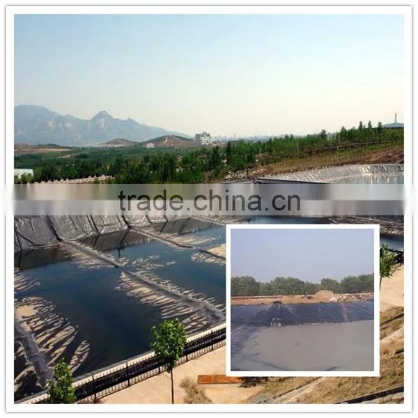 Chemical Wastewater Anti-seepage Geomembrane and Oil Thank Area Inpervious Geomembrane photo-2