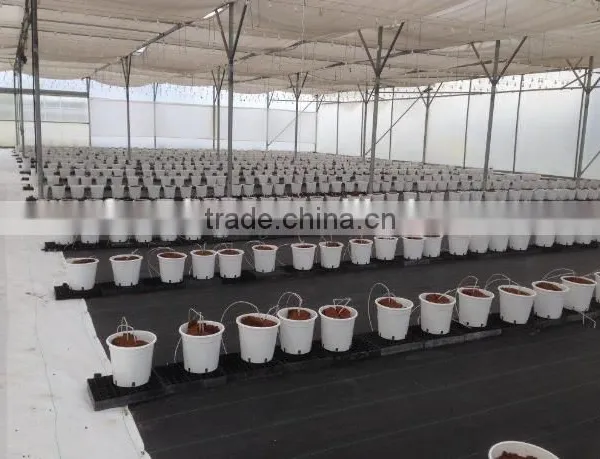 Eco-friendly Ground Cover photo-6