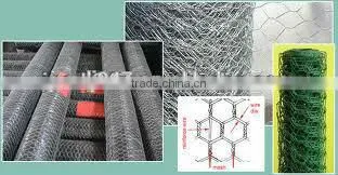 Pvc Coated Hexagonal Wire Mesh ,pvc Cated Hex Wire Fece photo-4