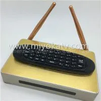 Japanese IPTV Renewal