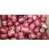 Huaniu Apple
