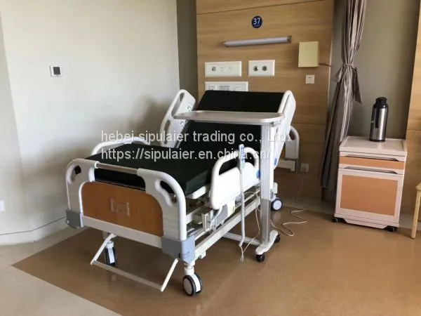 Three-function Electric Bed photo-2