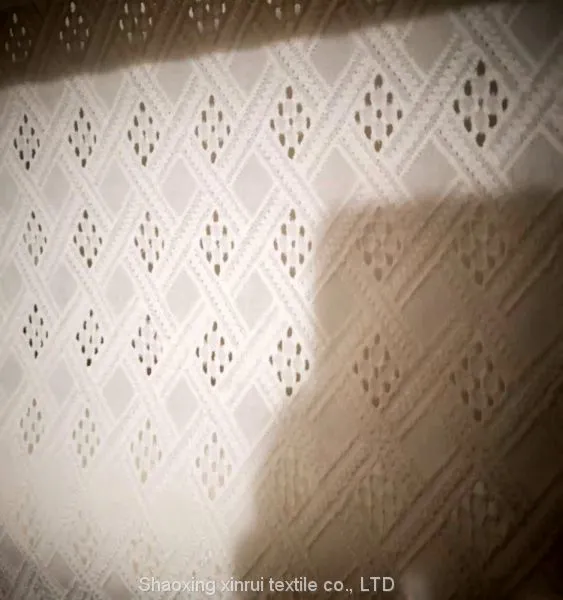 Broderie Anglaise Cotton Eyelet Schiffli Lace Embroidery Fabrics photo-3