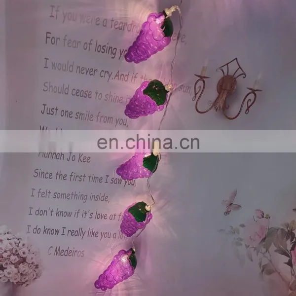 Hot Sale Unique Harvest Decoration Plastic Grape Shape String Light photo-3