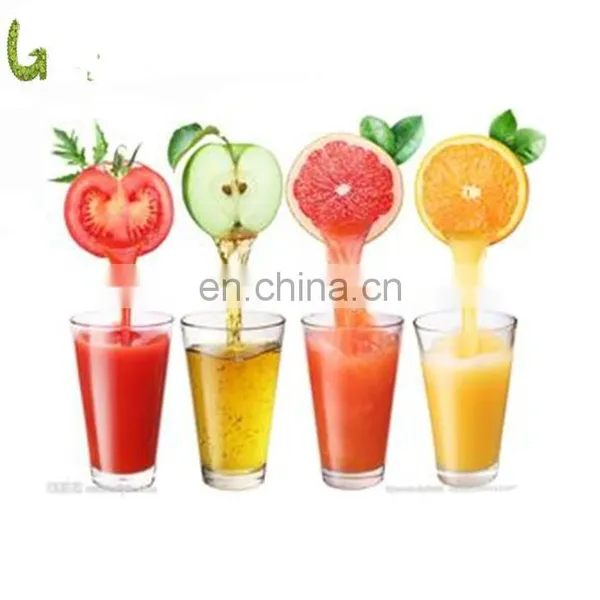 Small Capacity Ginkgo Juice/fresh Fruit Juice Production Line /plant /processing Line /equipment photo-2