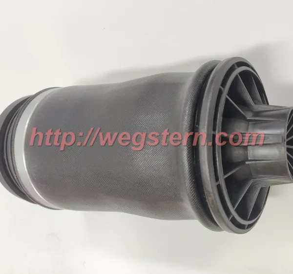 1643201025 Hot Selling Rear Air Spring for Mercedes Benz W164 GL350 GL450 2005-2011 photo-2