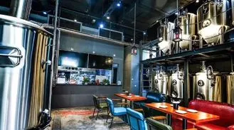 Custom 500L-1200L Automated Brewery Production Line for Small Craft Beer Businesses