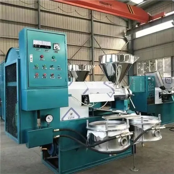 Screw Oil Press Machine Peanut Hazelnut Coconut Sesame Soybean Avocado Sunflower Oil Pressing Machine Oil Presser photo-4