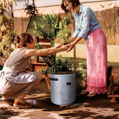 Heavy Duty Fabric Grow Bags for Vegetable Planting photo-3