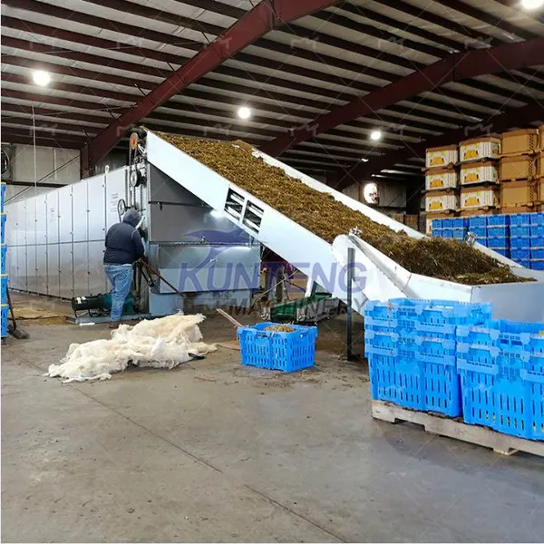 Multi Layer Mesh Belt Agricultural Product Dryer Industrial Dryer Sawdust Bamboo Powder Dryer Machine photo-4