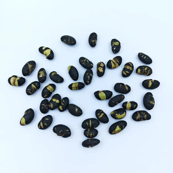 Premium Non-fried Large Black Soy Bean Snacks Roasted Saline Flavor for Global Supermarkets and Retailers photo-4