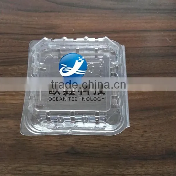 Thermoforming Packing Plastic Thermoforming Packing photo-2
