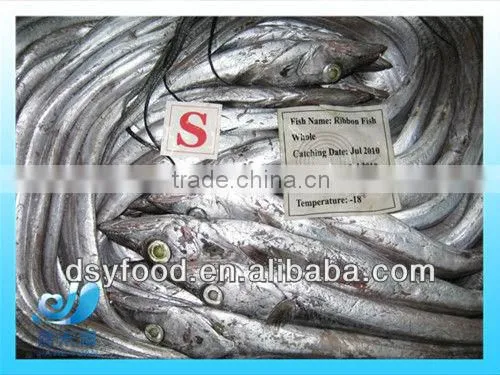 Frozen Iranian Ribbon Fish WR photo-2