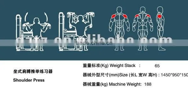 Pulley Gym Machine /Commercial Fitness Equipment /TZ-6012 Shoulder Press photo-4