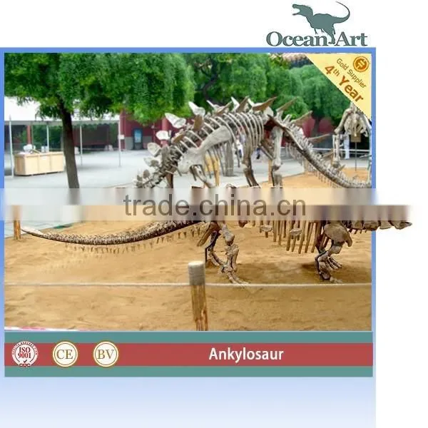 Outdoor Museum Quality Real Size Fiberglass Dinosaur Skeleton photo-2