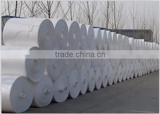 Ps Foam Sheet Extruder photo-2