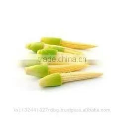 Fresh Baby Corn/baby Corn Exporters/farm Fresh Baby Corn
