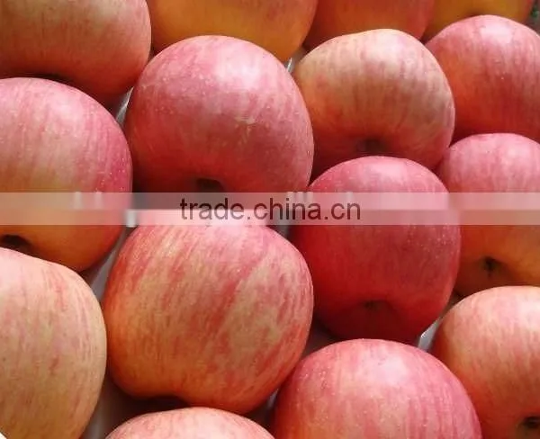 2015 Chinese Fresh Sweet Fuji Apple With Good Quality photo-2