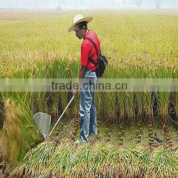 52cc Power Mini Rice Harvester Protein Skimmer