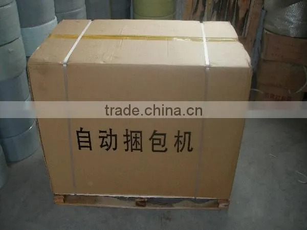 Simple Strapping Machine photo-6