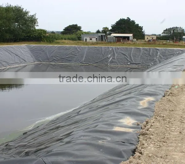 China Top Fish Farm Pond Liner HDPE Geomembrane photo-4