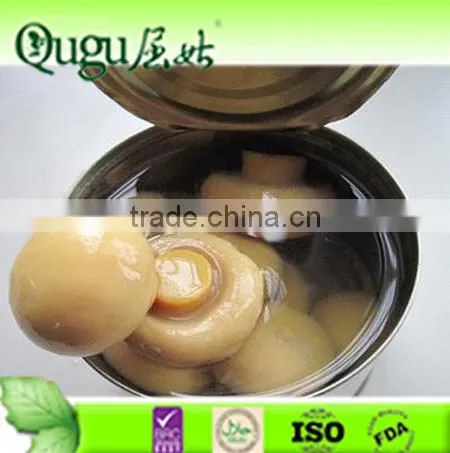 CANNED MARINATED MUSHROOM/CANNED CHAMPIGNON/CAN FOOD