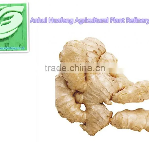 Dried Ginger Whole photo-3
