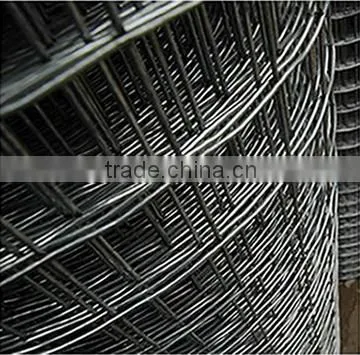 Euro Holland Wire Mesh/welded Wire Mesh Fencing Mesh
