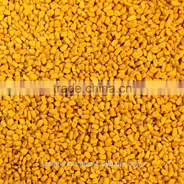 Australian Fenugreek Seed