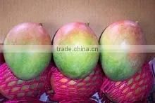 Mango photo-3