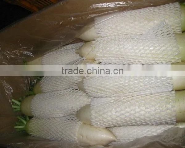 Hot Sale Radish photo-4