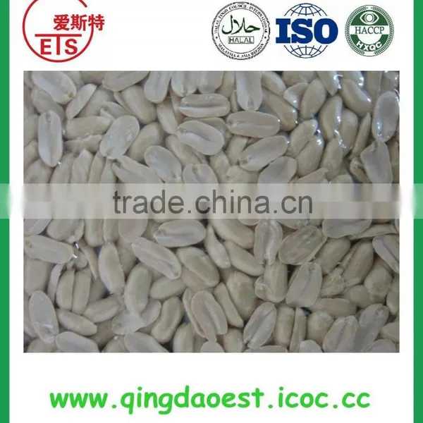 High Quality Blanched Peanut Kernel With Carton Packing From Shandong photo-4