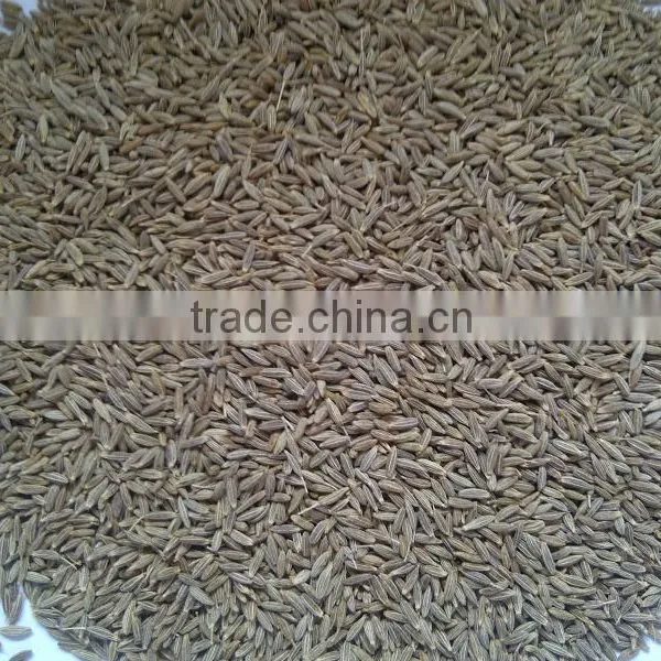 Cumin Seeds photo-2
