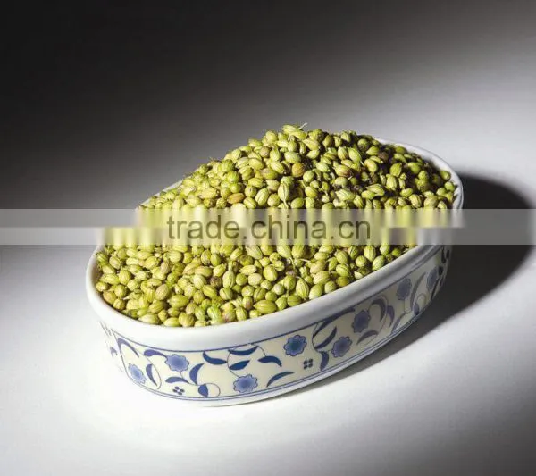 Coriander