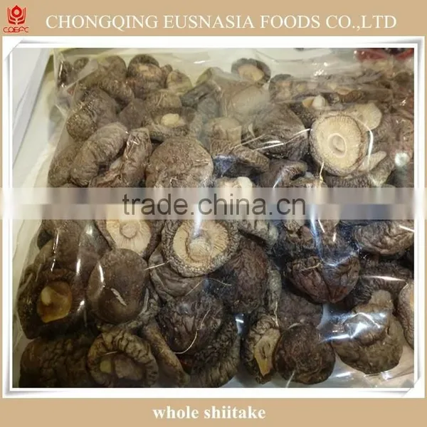 Shiitake Mushroom photo-5