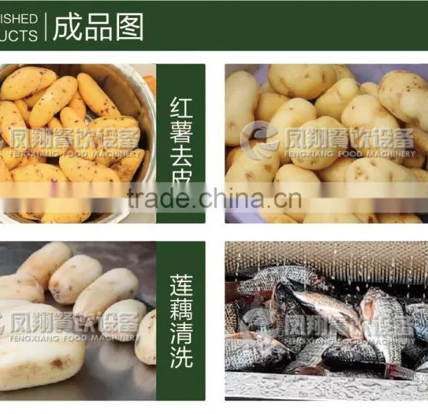 MSTP-500 Automatic Electric Ginger Washing and Peeling Machine photo-5