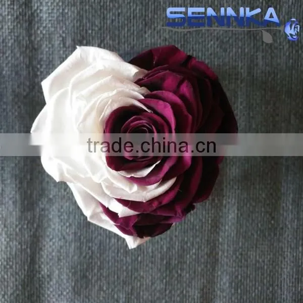 Heartshaped Long Life Rose Preserved Flowers for Arrangement photo-5