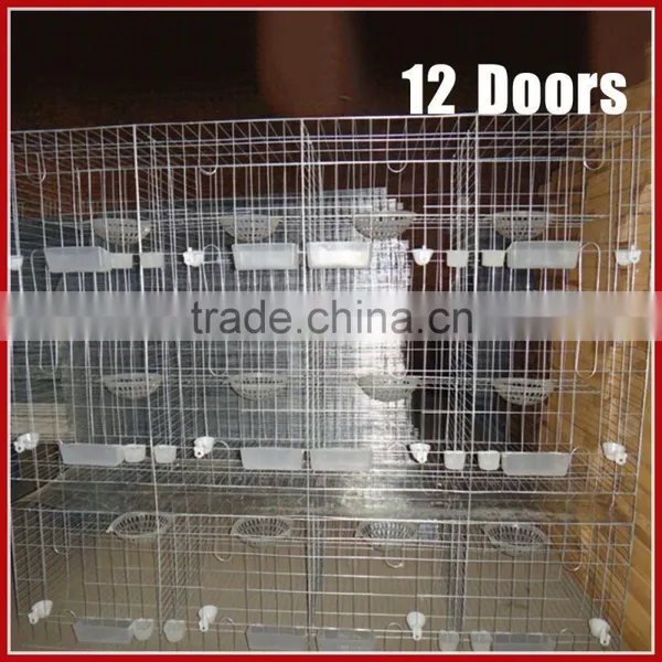 Pigeon Cage Racing and Pigeon Feeder,Drinkers