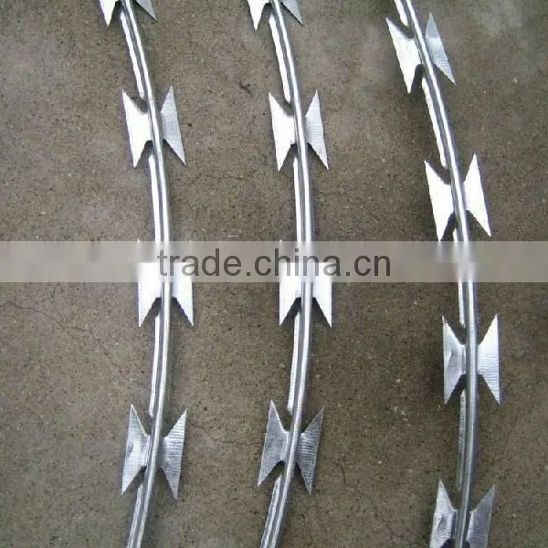 Fake Razor Wire photo-2