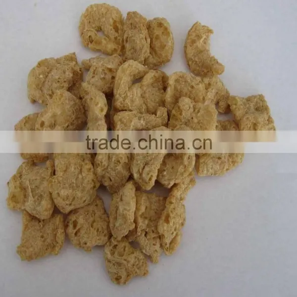 Isolated Soja Protein Machine/textured Soya Protein Processing Line photo-5